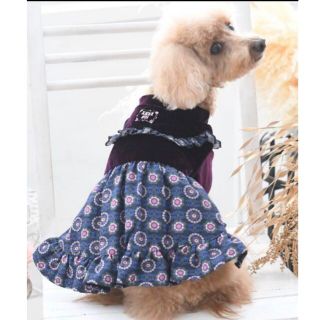 新品★未使用 ANNA SUI アナスイ ファーワンピース M ブラック 愛犬用