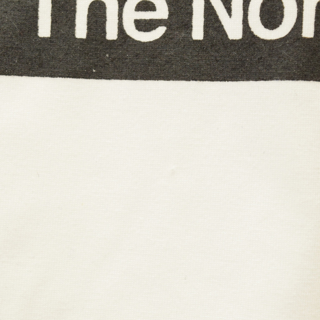 THE NORTH FACE(ザノースフェイス)のTHE NORTH FACE ザノースフェイス Lined Tee ラインロゴTシャツ 半袖クルーネックカットソー ホワイト レディース NTW32046 レディースのトップス(Tシャツ(半袖/袖なし))の商品写真