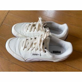 プーマ(PUMA)のプーマの白靴(スニーカー)