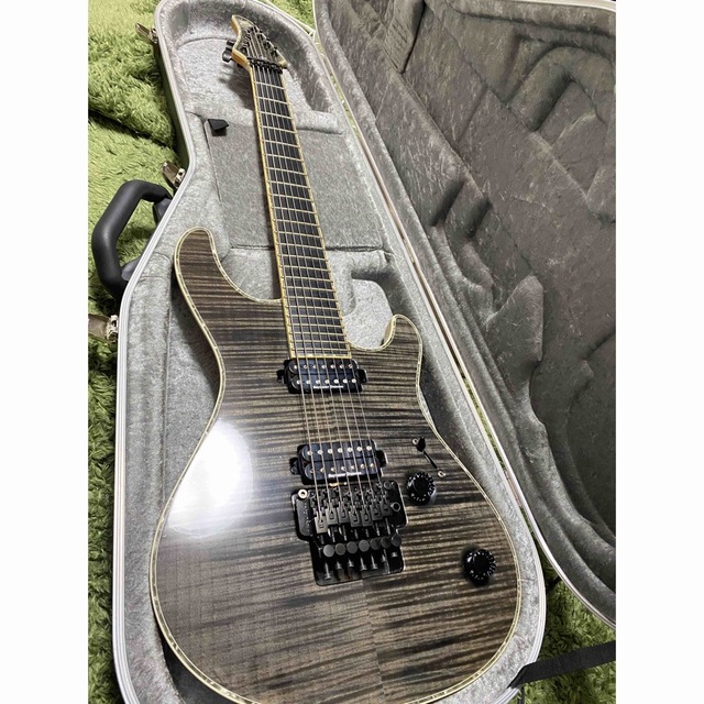 Mayones Regius Pro7