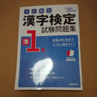 本試験型漢字検定準 1 級試験問題集 '20 年版(資格/検定)