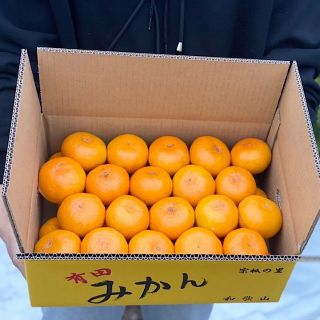 ★特価★【ご家庭用・３Ｓサイズ以下】和歌山有田産！早生みかん≪3㎏≫(フルーツ)