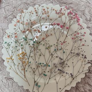 かすみ草 押し花(ドライフラワー)