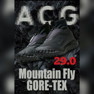 ナイキ(NIKE)のNike ACG Mountain Fly GORE-TEX 　29.0(スニーカー)