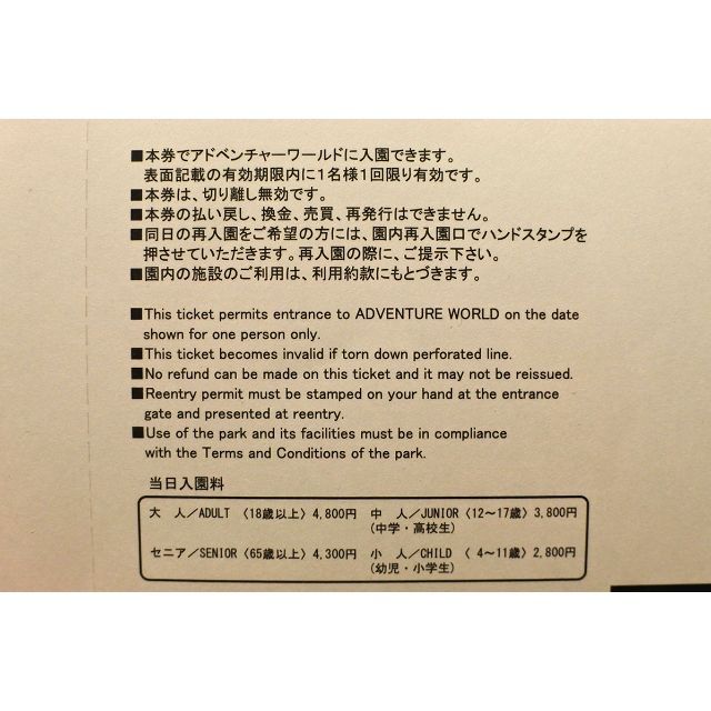 アドベンチャーワールド　１日入園券　小人 ２枚