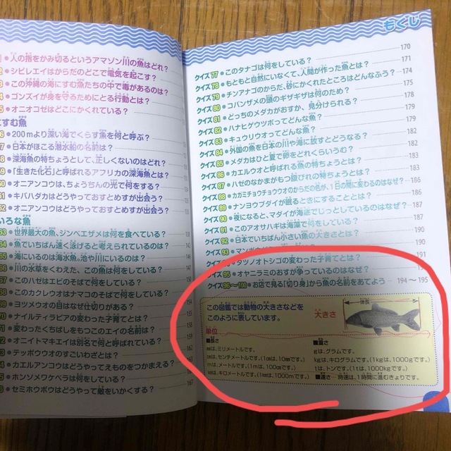 学研(ガッケン)の魚のクイズ図鑑 新装版 エンタメ/ホビーの本(絵本/児童書)の商品写真