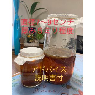 コンブチャクレンズ（作り方説明書3枚＋新鮮な紅茶キノコ株＋スターター液）(その他)