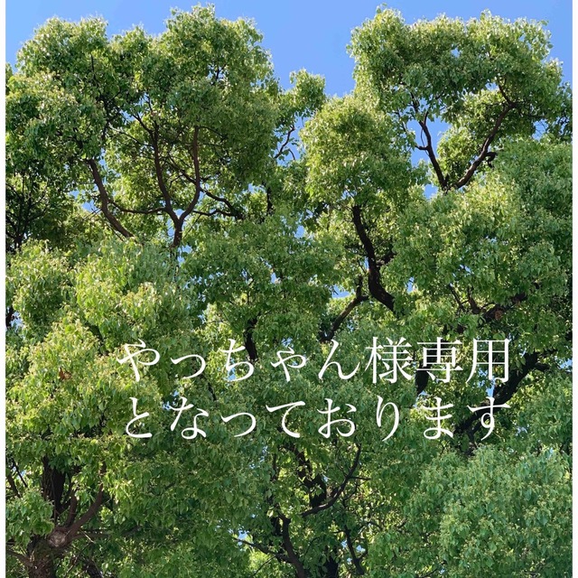 やっちゃん様専用となっております 独特の上品 stockshoes.co