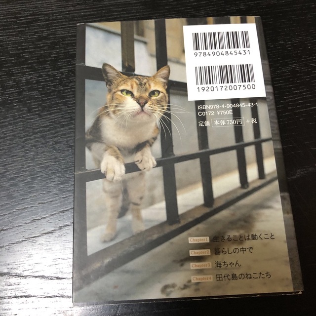 ねこ エンタメ/ホビーの本(趣味/スポーツ/実用)の商品写真