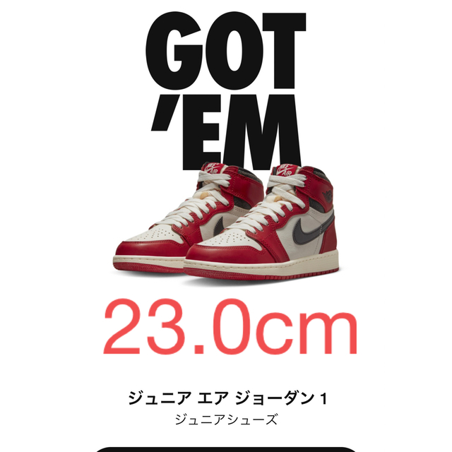 NIKE AIR JORDAN1 HIGH OG 23cm ジュニア