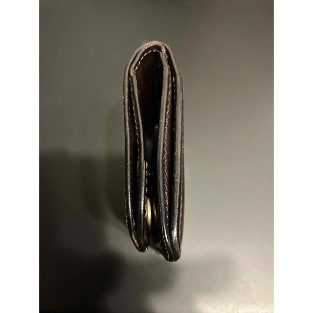 ワイルドスワンズ  パーム 2 サドル メンズのファッション小物(折り財布)の商品写真