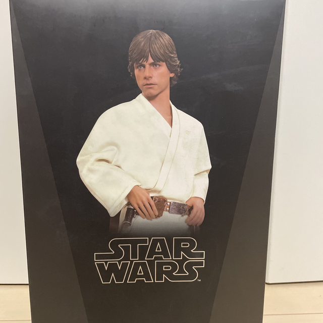 ホットトイズ ルークスカイウォーカー スターウォーズ 1/6 www ...