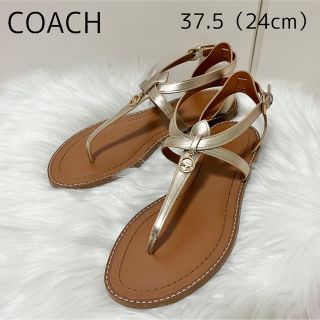 COACH - ☆未使用品☆coach ウェッジソールサンダル ドット柄 約23.5cm