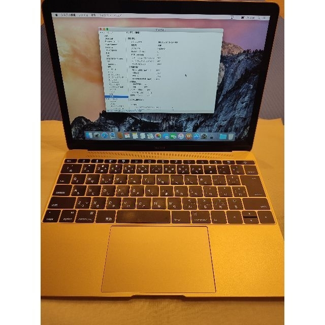 MacBook 12インチRetinaディスプレイモデル[MK4M2J/A]