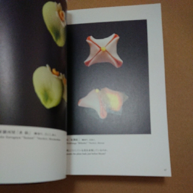 和菓子 エンタメ/ホビーの本(料理/グルメ)の商品写真