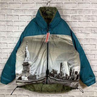 Schott ショット 中綿リバーシブルジャケット 自由の女神 アウター