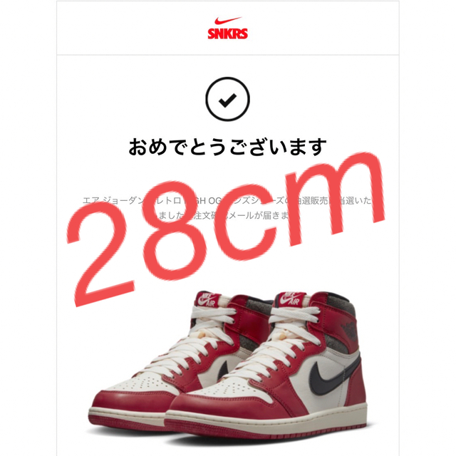 NIKE AIR JORDAN 1 HI OG CHICAGO シカゴ 28cm