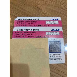 エーエヌエー(ゼンニッポンクウユ)(ANA(全日本空輸))のANA 株主優待　二枚(その他)