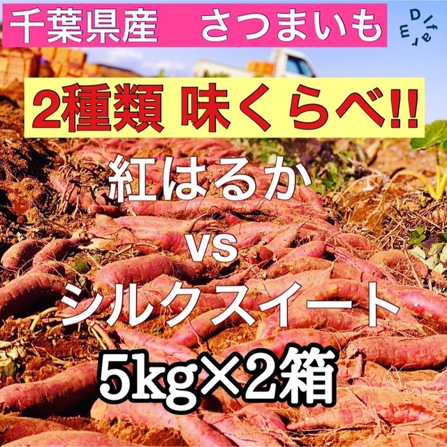 千葉県産サツマイモ　熟成紅はるか・シルクスイート  各5kg  10kg 食品/飲料/酒の食品(野菜)の商品写真