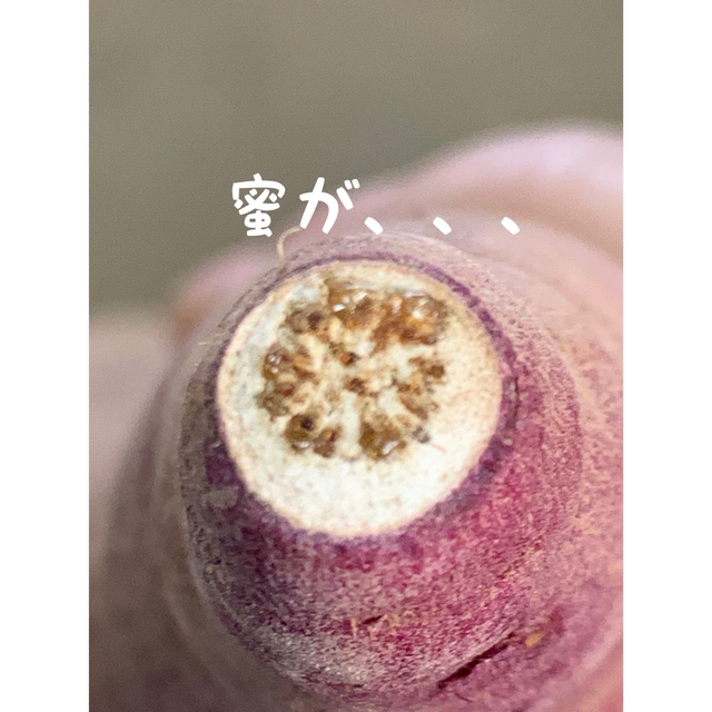 千葉県産さつまいも 熟成紅はるか 5kg×2箱 新年限定価格❗️