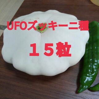 UFOズッキーニ種 白(野菜)
