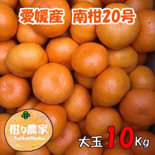 南柑20号みかん　大玉　10キロ(フルーツ)