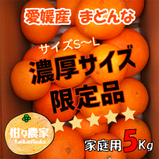 愛媛県産 愛果28号（紅マドンナ同品種）濃厚サイズ限定5キロ　家庭用(フルーツ)