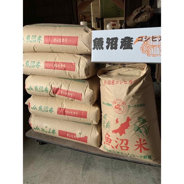 新米・令和4年産魚沼産コシヒカリ　白米5kg×2個★津南町産コシヒカリ04こしひかり