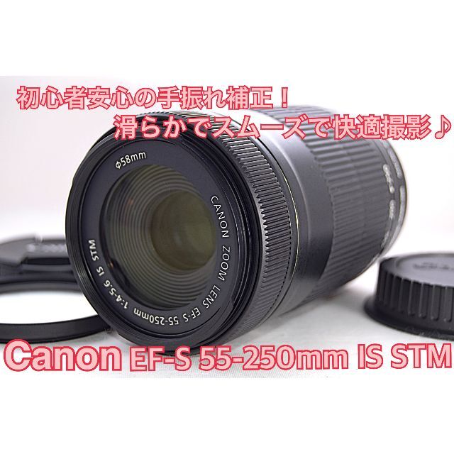 ❤Canon EF-S 55-250mm F5.6 IS II❤手振れ補正❤望遠 | monsterdog.com.br