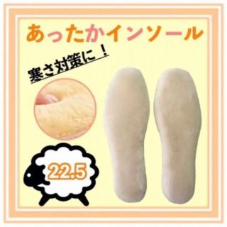 あったかインソール22.5センチ(ベージュ)(その他)