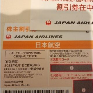 ジャル(ニホンコウクウ)(JAL(日本航空))の(匿名配送)日本航空　割引チケット　パンフレット(その他)