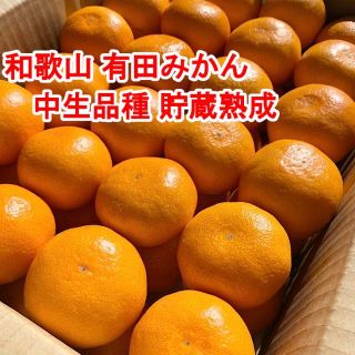 【ご家庭用・3㎏・サイズご指定可】和歌山有田産！中生品種の貯蔵熟成みかん(フルーツ)