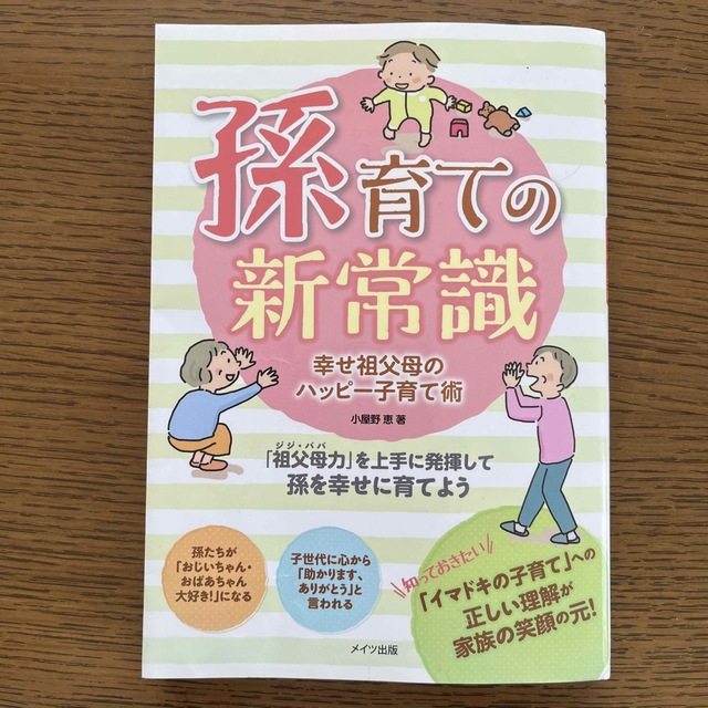 孫育ての新常識 幸せ祖父母のハッピー子育て術 エンタメ/ホビーの雑誌(結婚/出産/子育て)の商品写真