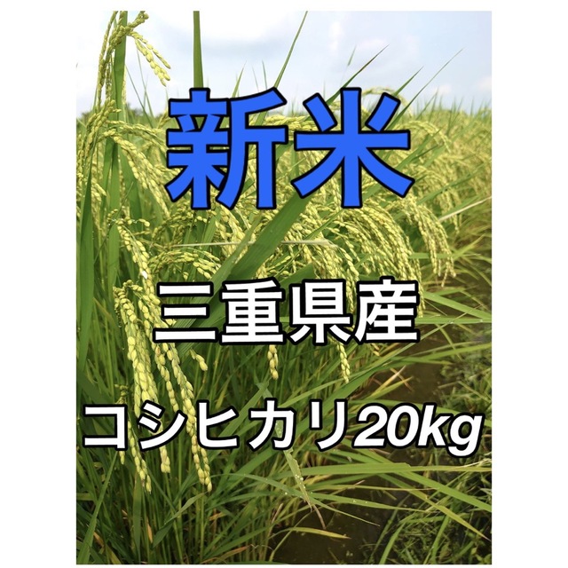 新米 お米 令和４年  三重県産 コシヒカリ 白米２０kg【一等米】白米