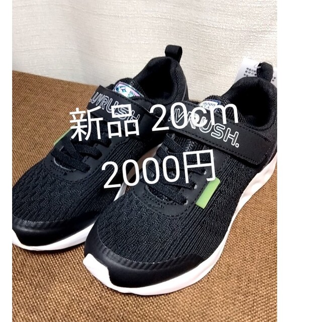 高品質】 お値下げしました ムーンスター20センチスニーカー mandhucollege.edu.mv