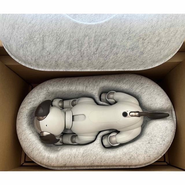 SONY(ソニー)のSONY aibo 本体（ERS-1000）付属品完備 エンタメ/ホビーのおもちゃ/ぬいぐるみ(その他)の商品写真