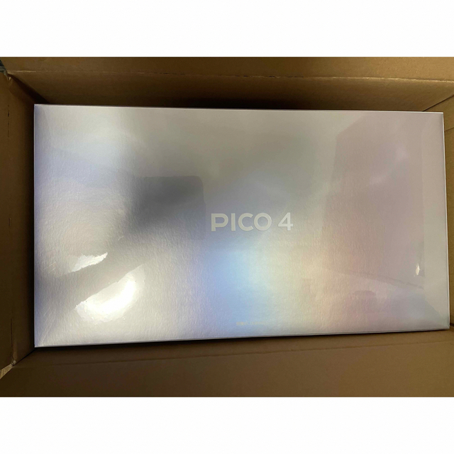 PICO4 256GB