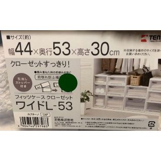 namiko様Fits 44x53x30 衣装ケース プラケース temma(ケース/ボックス)