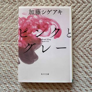 ニュース(NEWS)のピンクとグレ－(文学/小説)