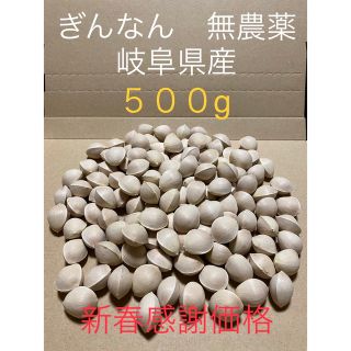 新春感謝価格　ぎんなん　無農薬　岐阜県産　500g(野菜)