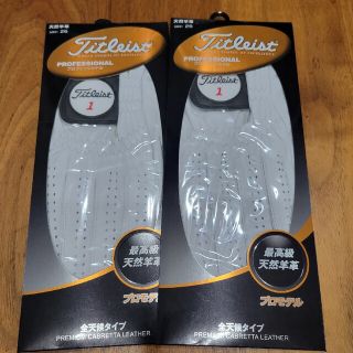 タイトリスト(Titleist)のTitleist　プロフェッショナル　2枚セット　左手用(その他)