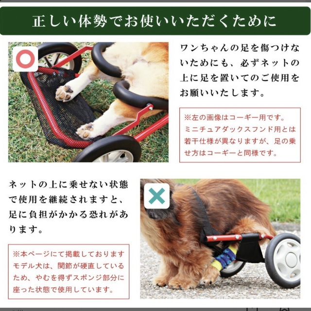 犬用 車椅子 ドッグウォーカー - 犬