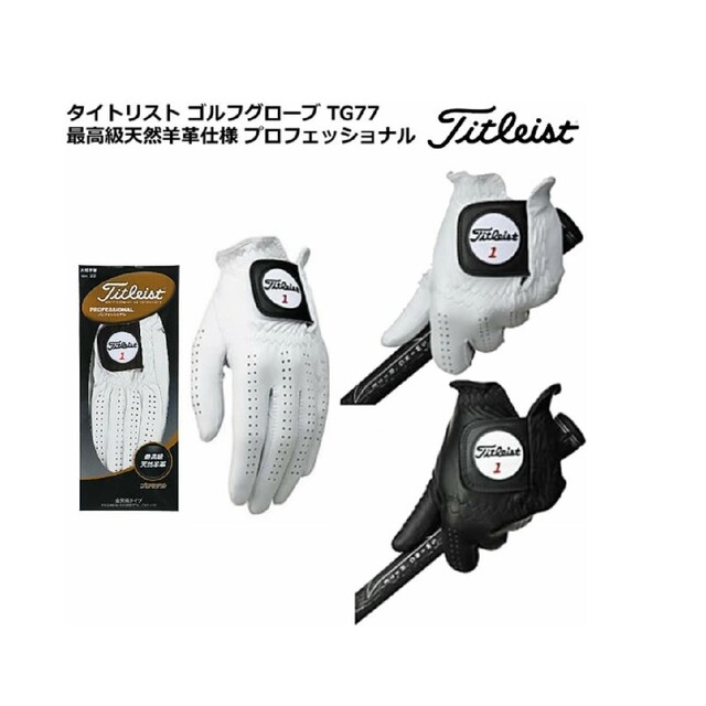 Titleist(タイトリスト)のTitleistグローブ　プロフェッショナル　2枚セット スポーツ/アウトドアのゴルフ(その他)の商品写真