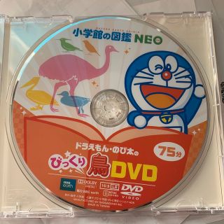 ショウガクカン(小学館)の☆ 小学館の図鑑NEO 鳥  DVDのみ ☆(絵本/児童書)