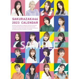 ケヤキザカフォーティーシックス(欅坂46(けやき坂46))の櫻坂46  2023年度公式カレンダー(カレンダー/スケジュール)