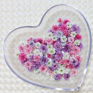 〖100粒以上〗 かすみ草 ドライフラワー 💐(ドライフラワー)