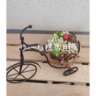 多肉寄せ植え　アイアン自転車　黒(その他)