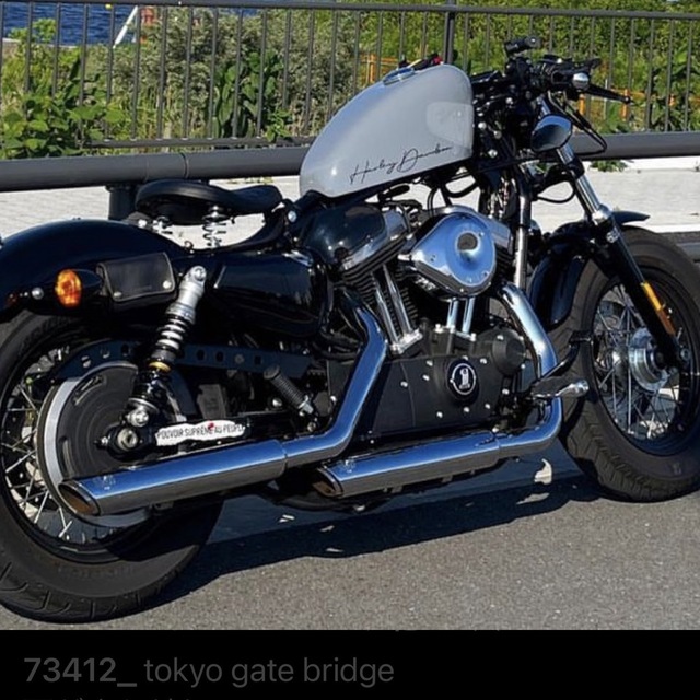 ハーレー タンクカバー サイモンカスタム xl1200x - electrabd.com
