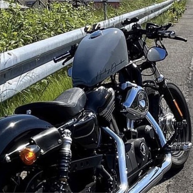 ハーレー タンクカバー サイモンカスタム xl1200x | srisolamalaipc.ac.in