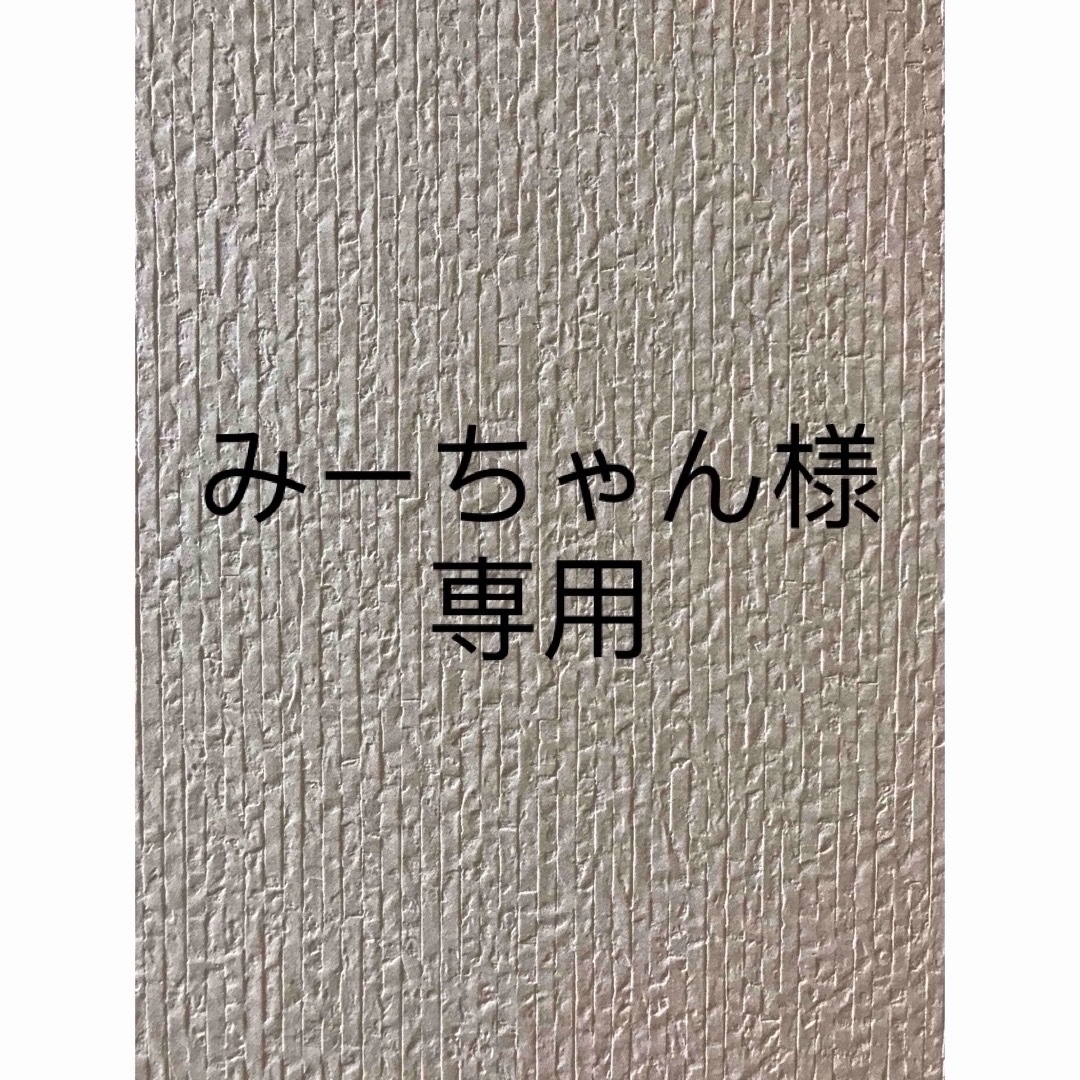 みーちゃん様専用♡ ハンドメイドのキッズ/ベビー(バッグ/レッスンバッグ)の商品写真